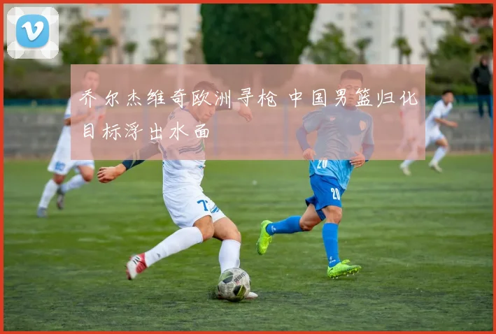 乔尔杰维奇欧洲寻枪 中国男篮归化目标浮出水面